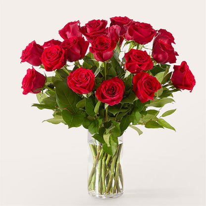 The One Red Rose Bouquet –  De Voe Floral, Lena IL