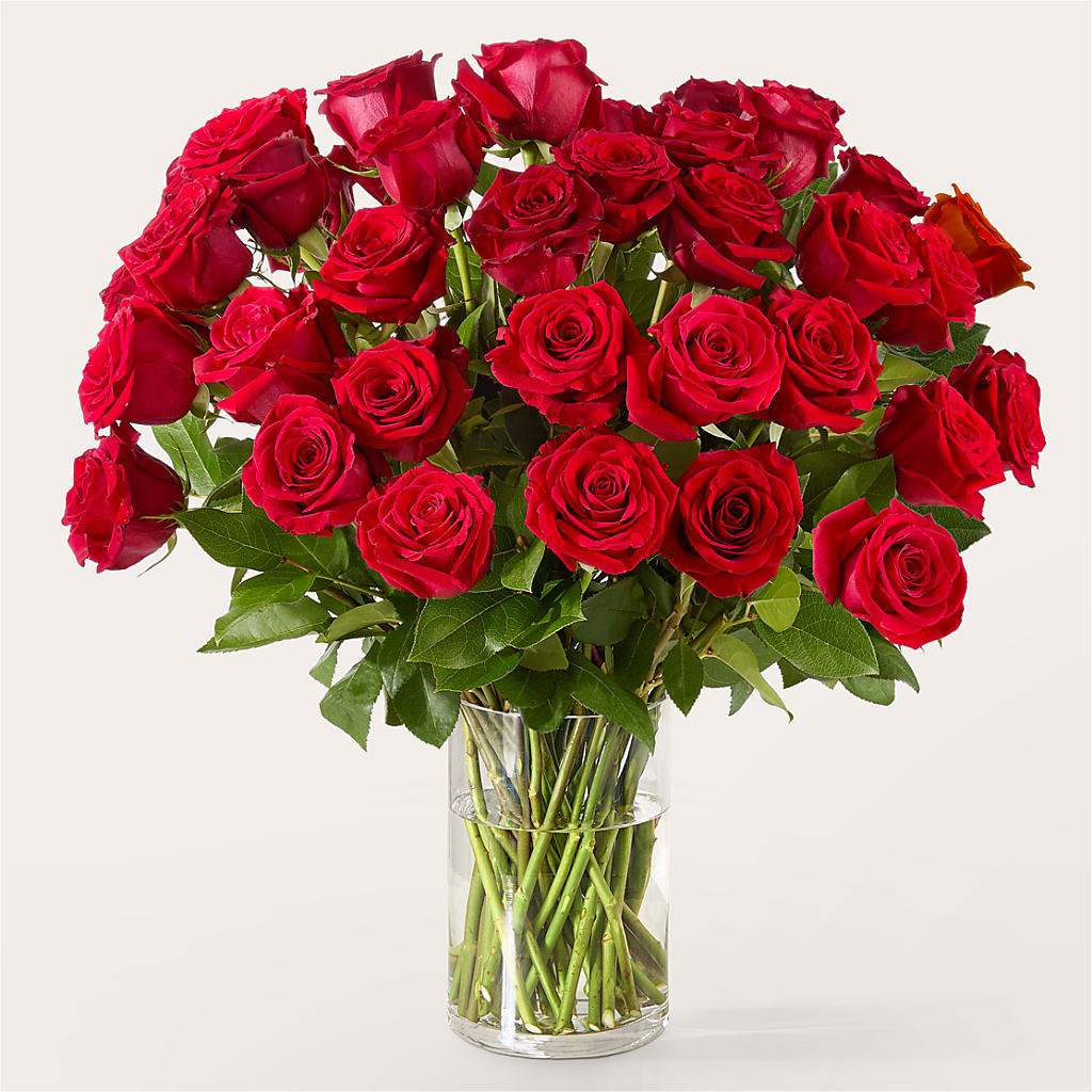 The One Red Rose Bouquet –  De Voe Floral, Lena IL