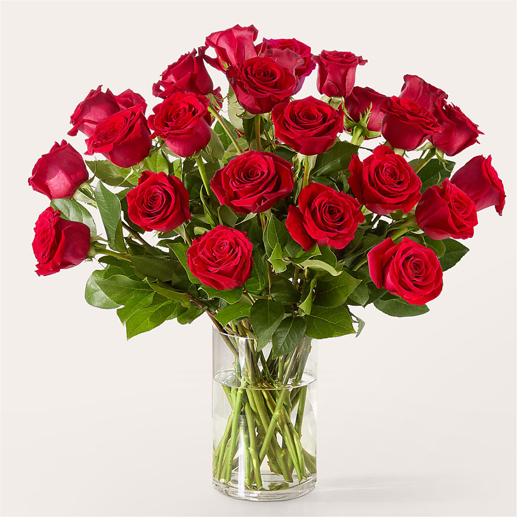 The One Red Rose Bouquet –  De Voe Floral, Lena IL