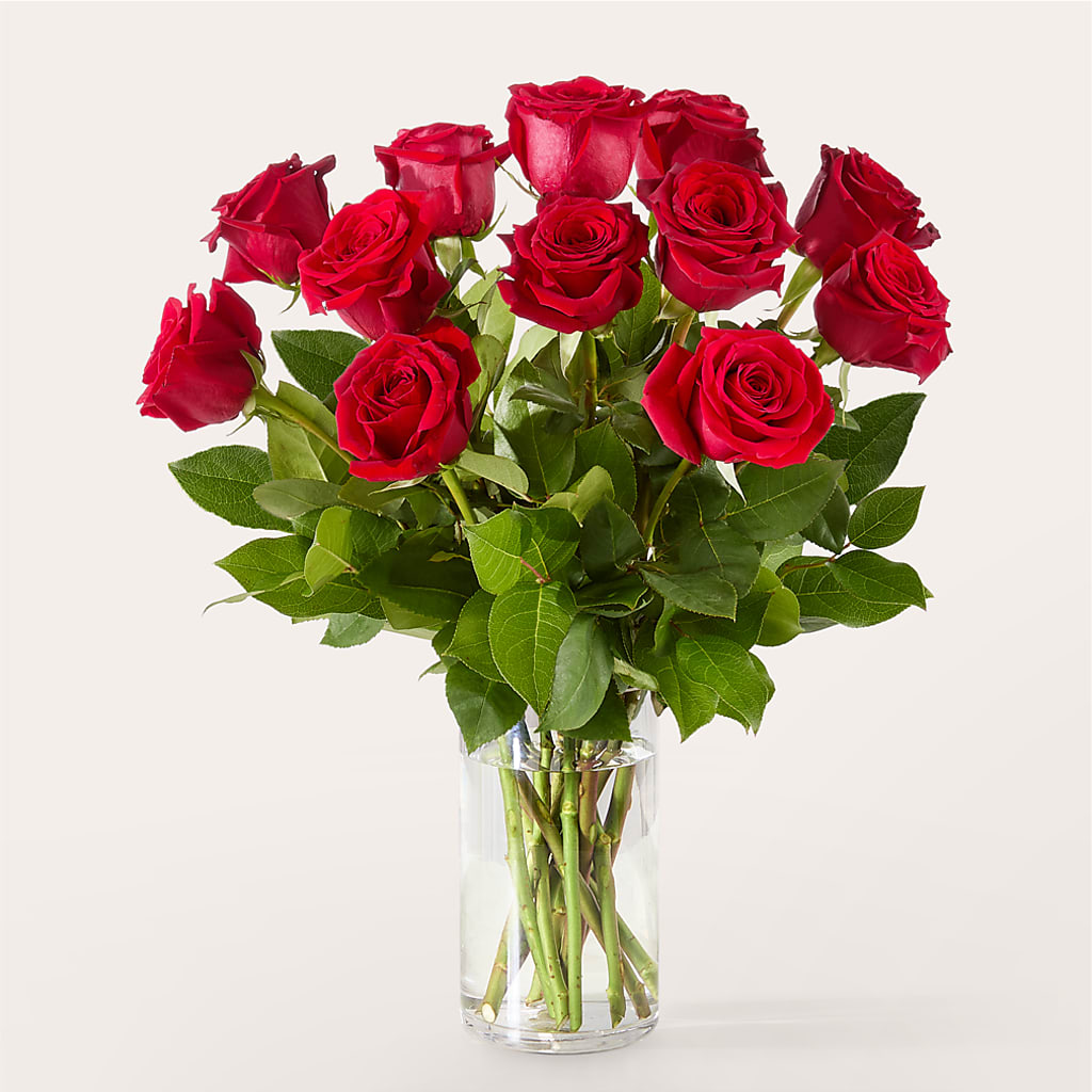 The One Red Rose Bouquet –  De Voe Floral, Lena IL