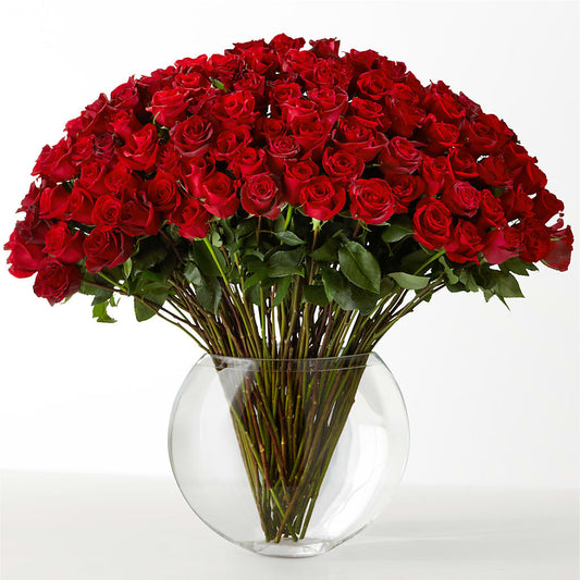 The Idealist –  De Voe Floral, Lena IL